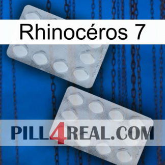 Rhinocéros 7 17